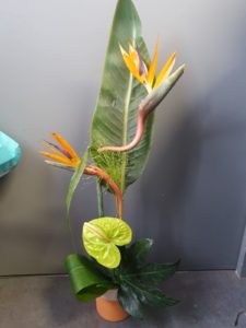 design flor